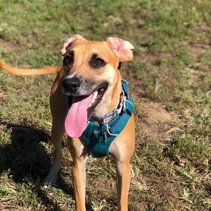 Meet your Posher, Deanna